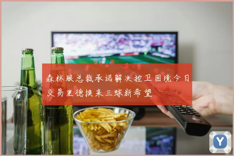 森林狼总裁承诺解决控卫困境今日交易里德换来三球新希望