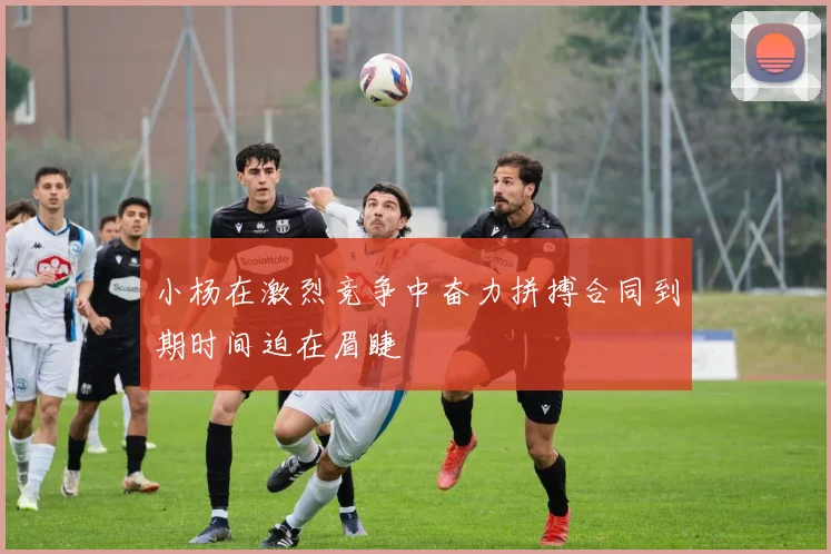小杨在激烈竞争中奋力拼搏合同到期时间迫在眉睫