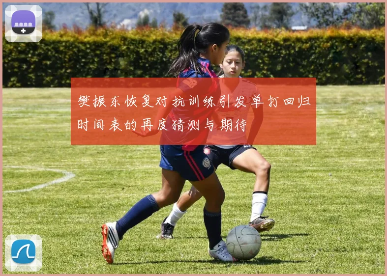 樊振东恢复对抗训练引发单打回归时间表的再度猜测与期待
