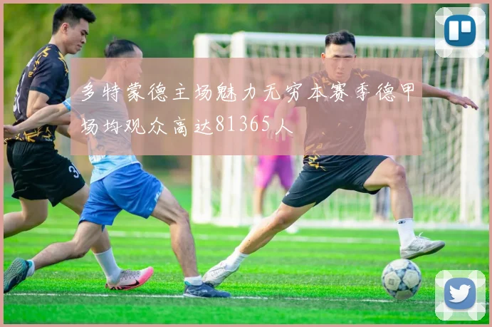 多特蒙德主场魅力无穷本赛季德甲场均观众高达81365人
